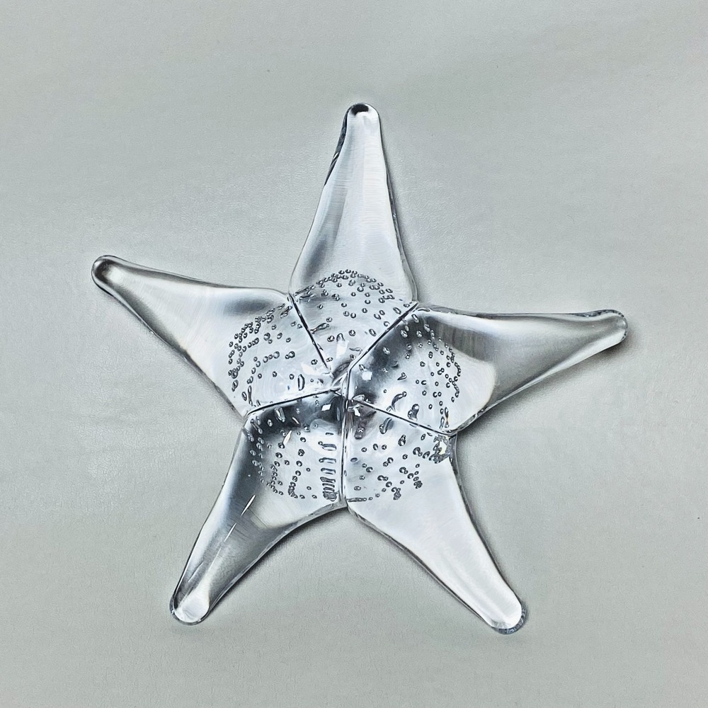 Large Hand Blown Art Glass Clear White Starfish Bubbles Paperweight‎ Beachy 6"
